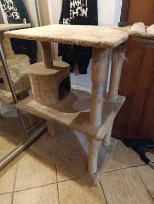 Elbląg Sprzedam duży kremowy drapak
106 cm wysoki
60 cm szeroki
55 cm długi