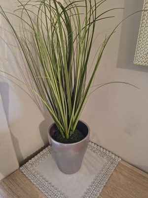 Elbląg Sztuczna trawka z osłonką 20 zł