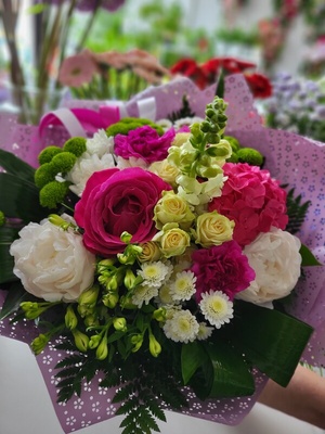 Elbląg Poszukiwana florystyka