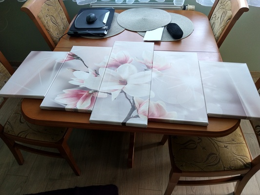 Elbląg Sprzedam piękny, pięcioczęściowy obraz przedstawiający magnolie. Jest on drukowany na gładkim płótnie