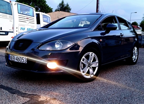 Elbląg Sprzedam pięknego Leona 2 LiFT