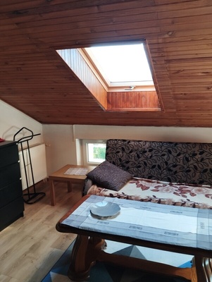 Elbląg Mam pokój do wynajęcia