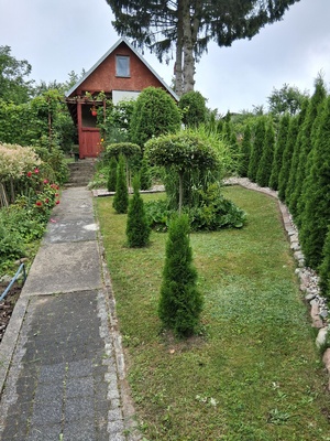 Elbląg Sprzedam działkę ROD SKOWRONEK ul. Okrężna. Na działce jest woda i prąd. Altana zadbana nowy dach więcej