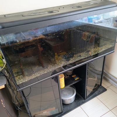 Elbląg Sprzedam akwarium 240l z markową szafką i pokrywą chałupniczo przerobioną na ledy.
Za symboliczne pieniądze