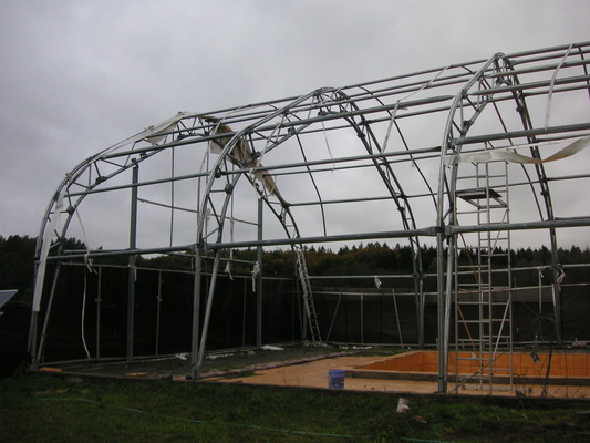 Elbląg 🌱Ziemia rolna na sprzedażWyjątkowa okazja w gminie Milejewo!