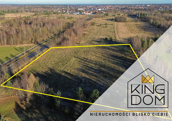 Elbląg KINGDOM NIERUCHOMOŚCI BLISKO CIEBIEDZIAŁKA Z POTENCJAŁEM - 3000 m2 BĄDŹ 11.601 m2Z WYDANYMI WARUNKAMI ZABUDOWYW