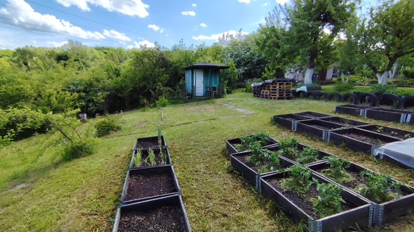 Elbląg Na sprzedaż działka ROD im. A. Mickiewicza ul. Działkowa o powierzchni 283 m², położona przy lesie Bażantarnia