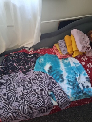 Elbląg Oddam  ubrania dla dziewczynki bluzy koszulki spodenki rozm. 158-170  na zdjęciu tylko cześć  ubrań