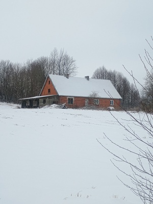 Elbląg Sprzedam 20 hektarów gruntów rolnych położonych we wsi Ząbrowiec gmina Godkowo powiat elbląski. Większość