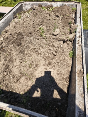 Elbląg Oddam przyczepkę ziemi z ogrodu