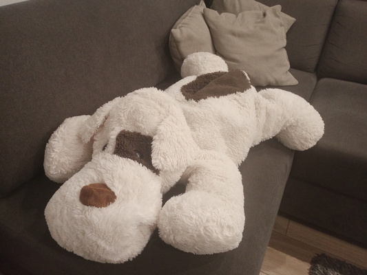 Elbląg Oddam za ptasie mleczko maskotkę - coś a La siedzisko, przytulankę - pieska ok. 100 cm długości w dobrym stanie