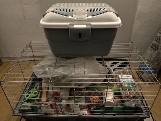 Elbląg Mam do sprzedania klatkę i nosidełko dla królika lub gryzonia i wyprawka. Klatka podrapana przez królika.