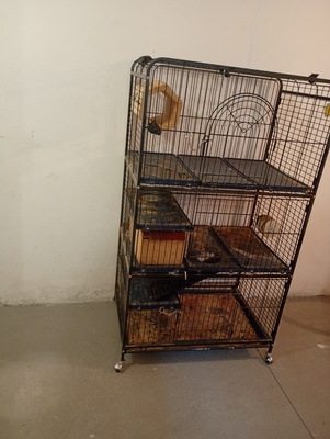Elbląg Sprzedam klatkę dla zwierząt 52x80x140