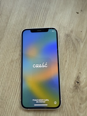 Elbląg Stan bardzo dobry, użytkowany w pokrowcu i ze szkłem. Kilka rys. 64 GB. Bateria 80%. Plus ładowarka. Nie