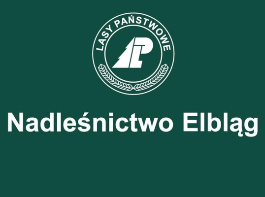 Elbląg OGŁOSZENIE&nbsp; Nadleśniczego Nadleśnictwa Elbląg&nbsp; o naborze na stanowiskoLEŚNICZEGO LEŚNICTWA KADYNYw