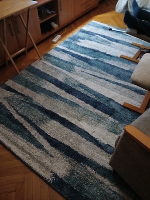 Elbląg Sprzedam dywan 160x230 w dobrym stanie cena 99zl