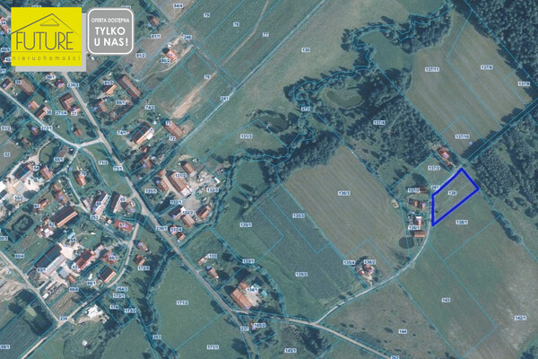 Elbląg FUTURE NIERUCHOMOŚCISprzedam działkę - Błudowo. DZIAŁKA ROLNA W BŁUDOWO, GMINA MŁYNARYCENA: 39 000