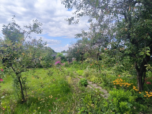 Elbląg Sprzedam działkę na ROD Sucharskiego.