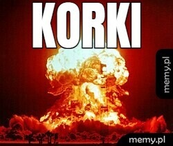 Elbląg KOREPERYCJE &nbsp; Z DOJAZDEM DO UCZNIA (STACJONARNIE)&nbsp; ORAZ&nbsp; ONLINE. DOSTĘPNOŚĆ CODZIENNIE