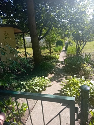 Elbląg Sprzedam Działkę na terenie ROD Bratek&nbsp; ul. Okrężna w Elblągu