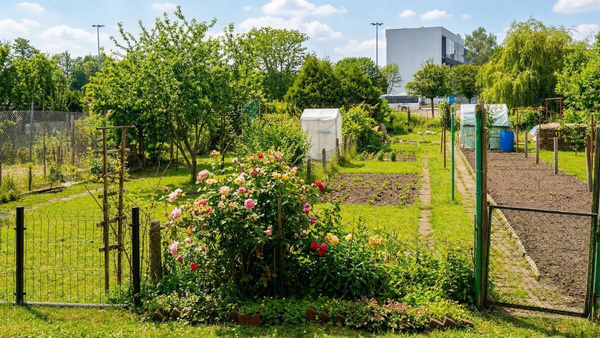 Elbląg TO MY SPRZEDAJEMYNIERUCHOMOŚCI W TYM MIEŚCIEBIURO NIERUCHOMOŚCIAMERICAN HOMEFOR SALE - 2 POKOJE -