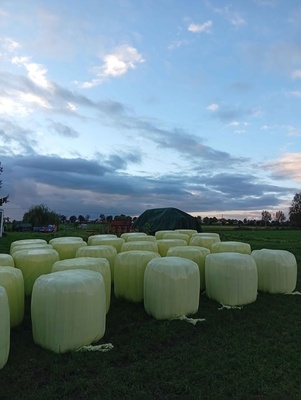 Elbląg witam sprzedam siano z nowych łąk 90zl oraz sianokiszonkę 140 zł cena do negocjacji