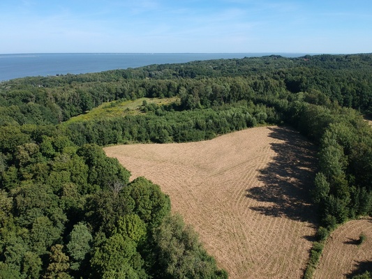 Elbląg SZULC & SZULC BIURO NIERUCHOMOŚCI NA SPRZEDAŻDziałka budowlano - usługowa - Kamionek Wielki /gmina
