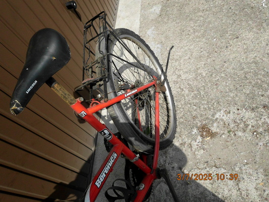 Elbląg Sprzedam rower 26cali. cena 100 zl.