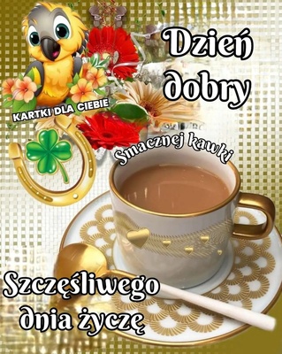 Elbląg Witam serdecznie poznam dziewczynę na spacer i kawkę. Zapraszam