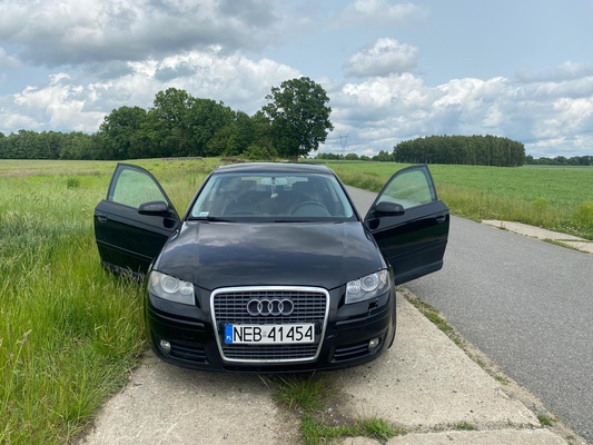 Elbląg Audi A3 8P 1.9TDI