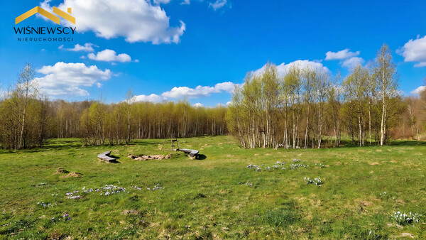 Elbląg WIŚNIEWSCY NIERUCHOMOŚCI Sp. z o.o.Sprzedam działkę - Dawidy.&nbsp;Oferta:

 Na sprzedaż wyjątkowy teren o