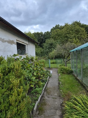 Elbląg Działka ROD Słoneczne Wzgórze 450 m² – odstąpię prawo do użytkowania | domek | szklarnia