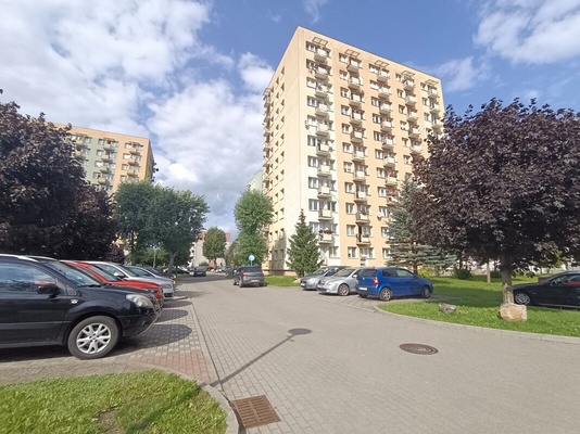 Elbląg STATOR NIERUCHOMOŚCI - 30 lat w Elblągu    DO WYNAJĘCIA           