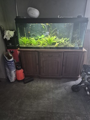 Elbląg Sprzedam kompletne akwarium o pojemnosci 450l za 500zl. Wszystko wraz z szafka