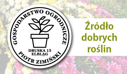 Gospodarstwo Ogrodnicze Piotr Zimiński