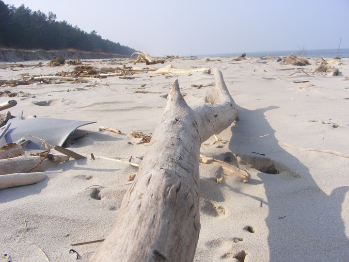 przedwiośnie. Po sztormie,  plaża Stegna-Junoszyno 2012