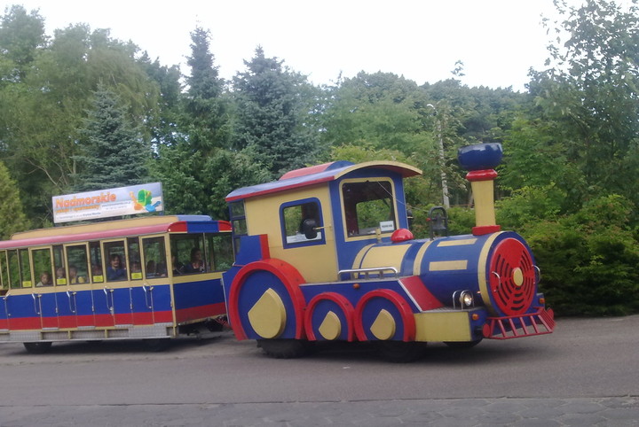 Jedzie "pociąg na plażę".. Stegna. (Lipiec 2014)