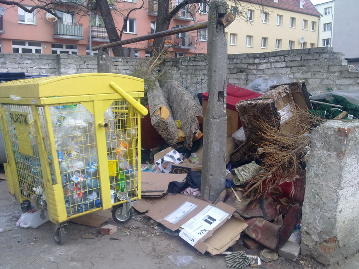 Taki kwiatek.Ul .Słoneczna Elbląg. Jak było tak jest. Kto posprząta? (Kwiecień 2014)