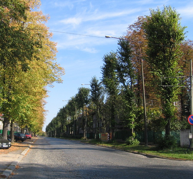 Ul.Królewiecka w niedzielę.(Elbląg). Cicho i spokojnie. (Październik 2014)