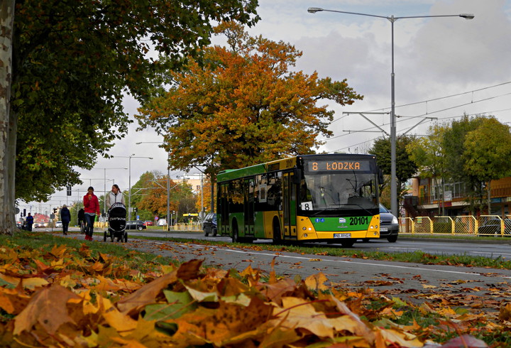 Jesień już w akcji.  (Październik 2014)