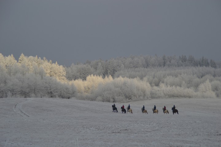 Na Wysoczyźnie.  (Grudzień 2014)