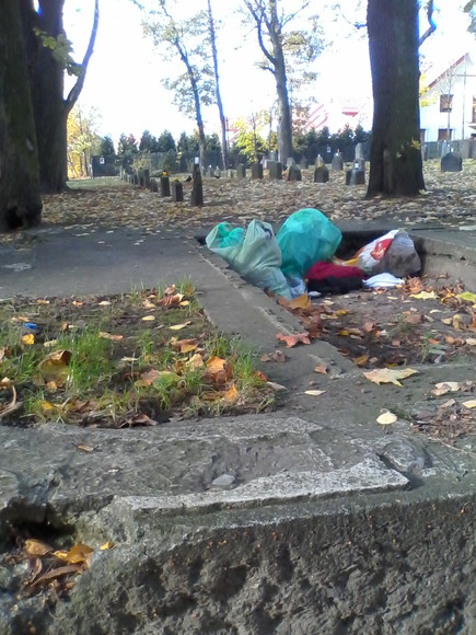 Jedni dbają inni w _ upie mają.. Cmentarz naszych przodków przy ul. Sadowej. (Listopad 2014)