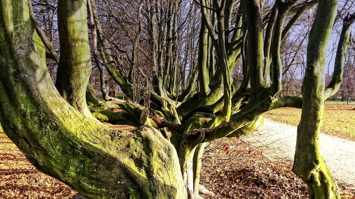 park Kajki Elbląg.