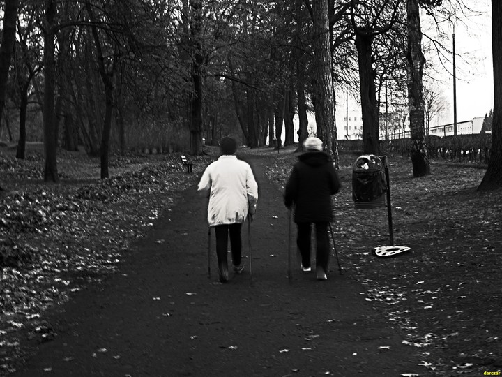 Popołudniowy nordic walking - Park Modrzewie.