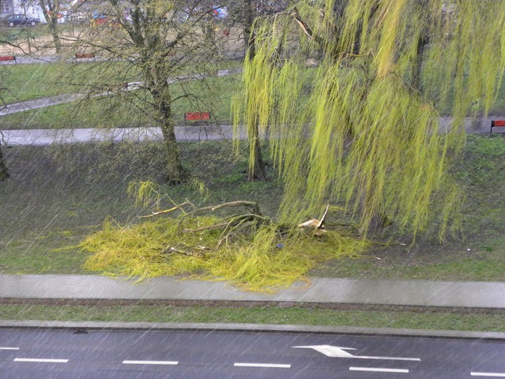 Park Planty. Skutki dzisiejszej wichury (Kwiecień 2015)