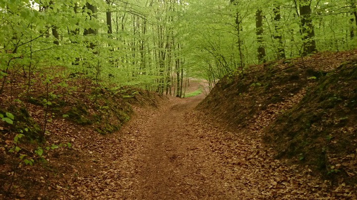 Na ziemi jesień nad ziemią wiosna. BAŻANTARNIA