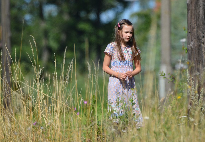 Na torach. Spacer wzdłuż opuszczonych torów pod Tolkmickiem zawsze zaskakuje. (Sierpień 2015)