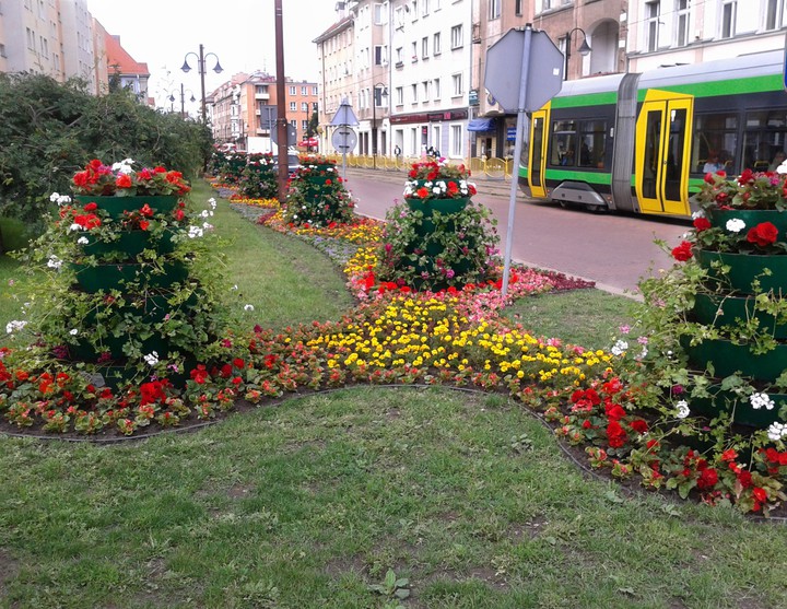 Miasto pieknieje. Elblag pełen kwiatów :)