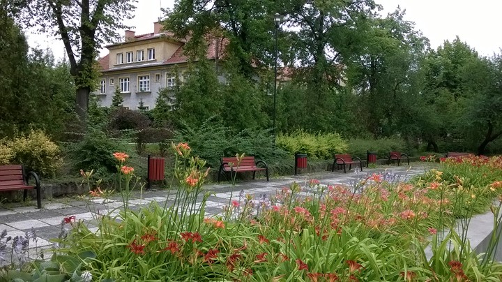 Ukwiecony, zadbany park Kajki.. Elbląg 2015 r.