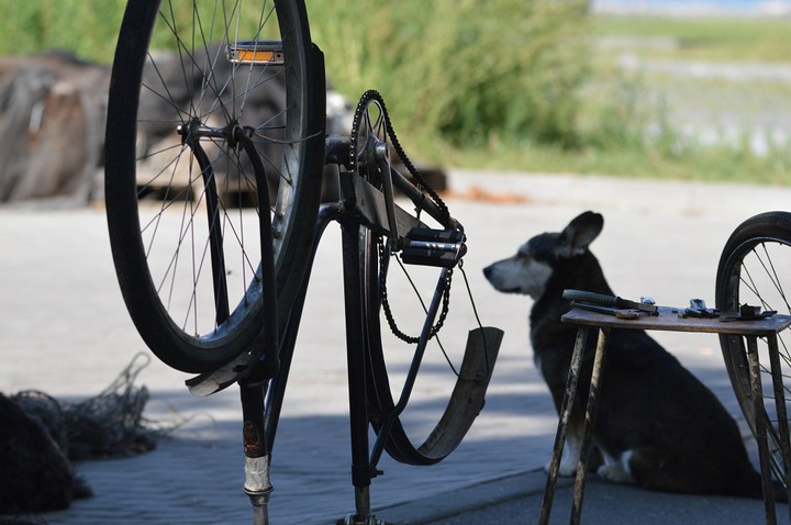 Naprawa roweru.. Tolkmicko - port. (Wrzesień 2015)